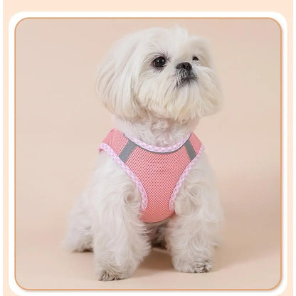 2Pcs Dog Harness and Leash Set, Adjustable No Pull Dog Chest Strap, Outdoor Walking Pet Supplies for Small Medium Large Dogs Reflective Step-In Dog Harness & Leash Set, Soft Mesh No Pull Puppy Vest Harness, Adjustable Lightweight Walking Gear