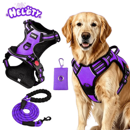 HELETY Purple 3-In-1 No-Pull Dog Vest Harness & Leash Set, Adjustable S-XL Sizes, Dual Front & Back D-Ring Clips, 360° 3M Reflective, Padded Chest, Oxford Fabric, Night Safety, Built-In Poop Bag Holder, Tangle-Free Cooling Step-Design Strap Running Bungee