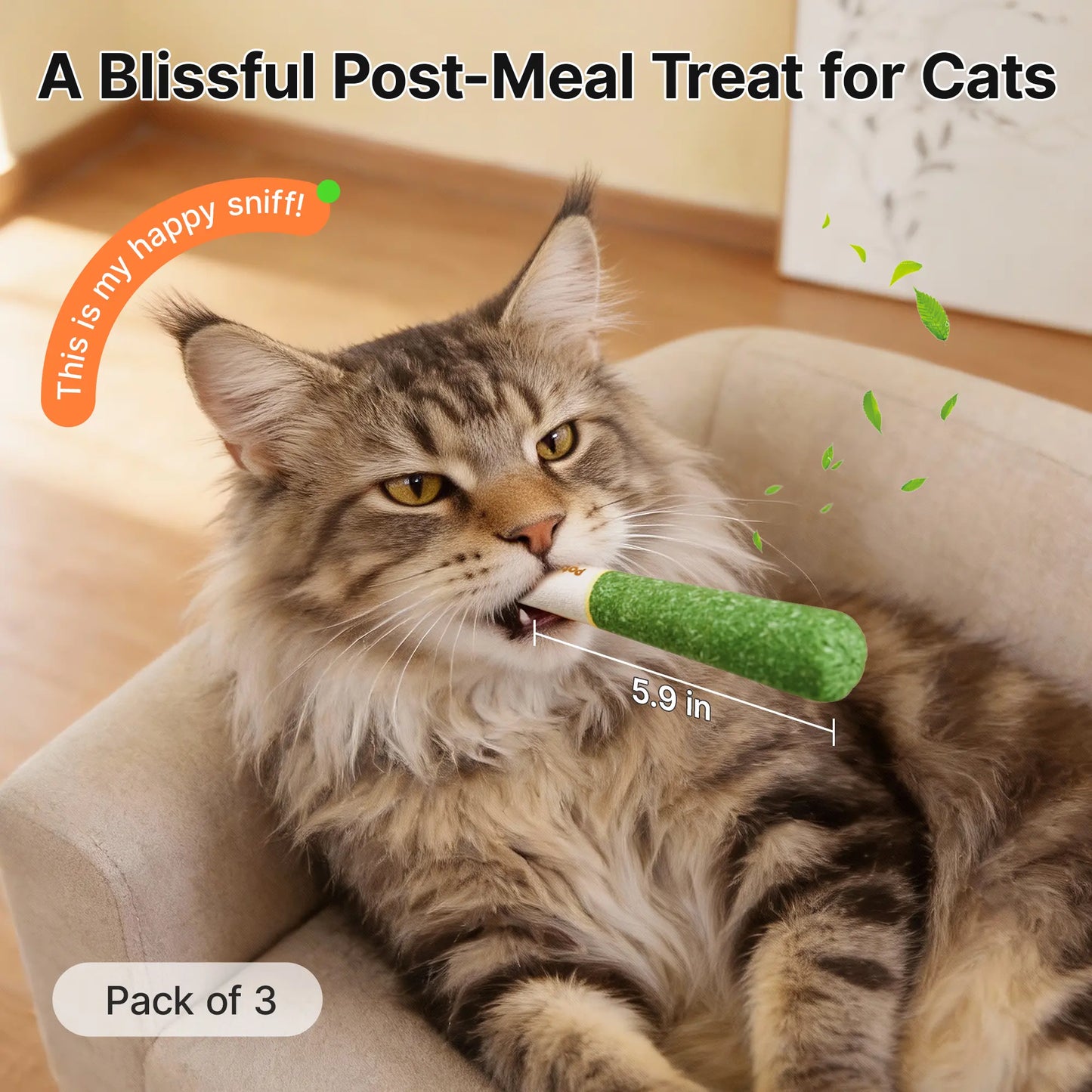 Potaroma Cat Toys Natural Silvervine – Baby-Grade Interactive Chew Kicker Toys for Indoor Cats & Kittens – Boredom & Stress Relief #Summervibes #Petlovers