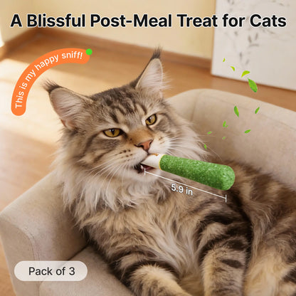 Potaroma Cat Toys Natural Silvervine – Baby-Grade Interactive Chew Kicker Toys for Indoor Cats & Kittens – Boredom & Stress Relief #Summervibes #Petlovers