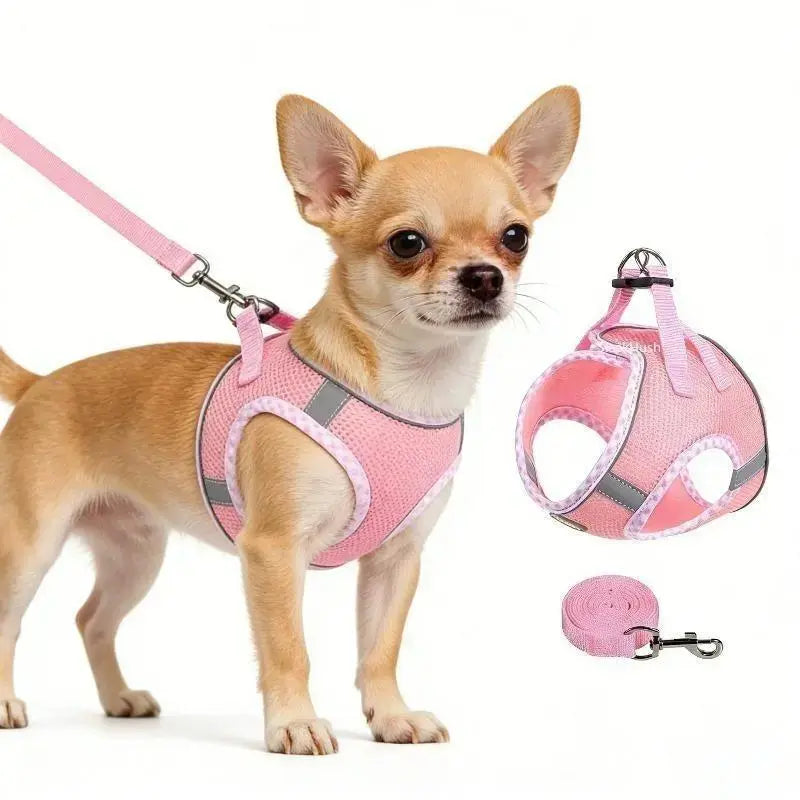 2Pcs Dog Harness and Leash Set, Adjustable No Pull Dog Chest Strap, Outdoor Walking Pet Supplies for Small Medium Large Dogs Reflective Step-In Dog Harness & Leash Set, Soft Mesh No Pull Puppy Vest Harness, Adjustable Lightweight Walking Gear