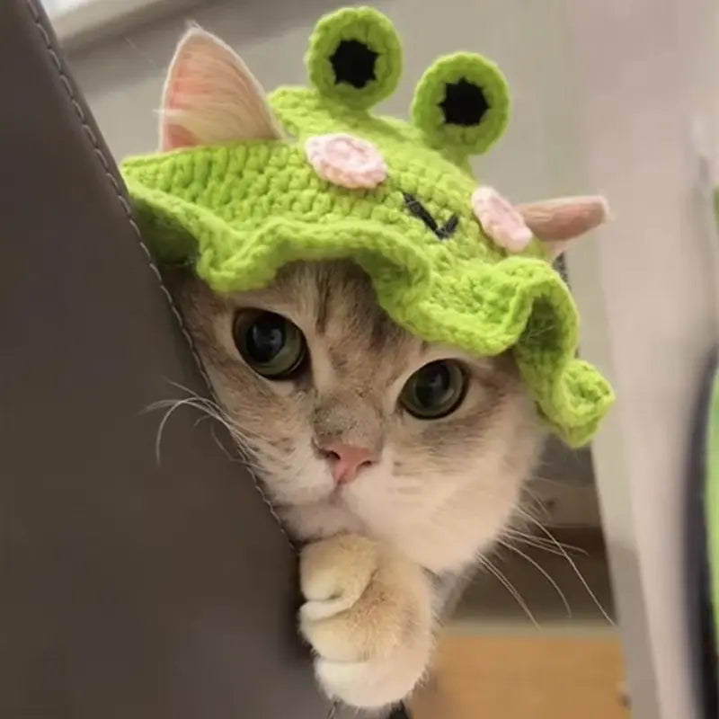 Furry Feline & Canine Costume Cap: The Purr-fectly Hilarious Halloween Hat for Your Pet's Instagram Fame!