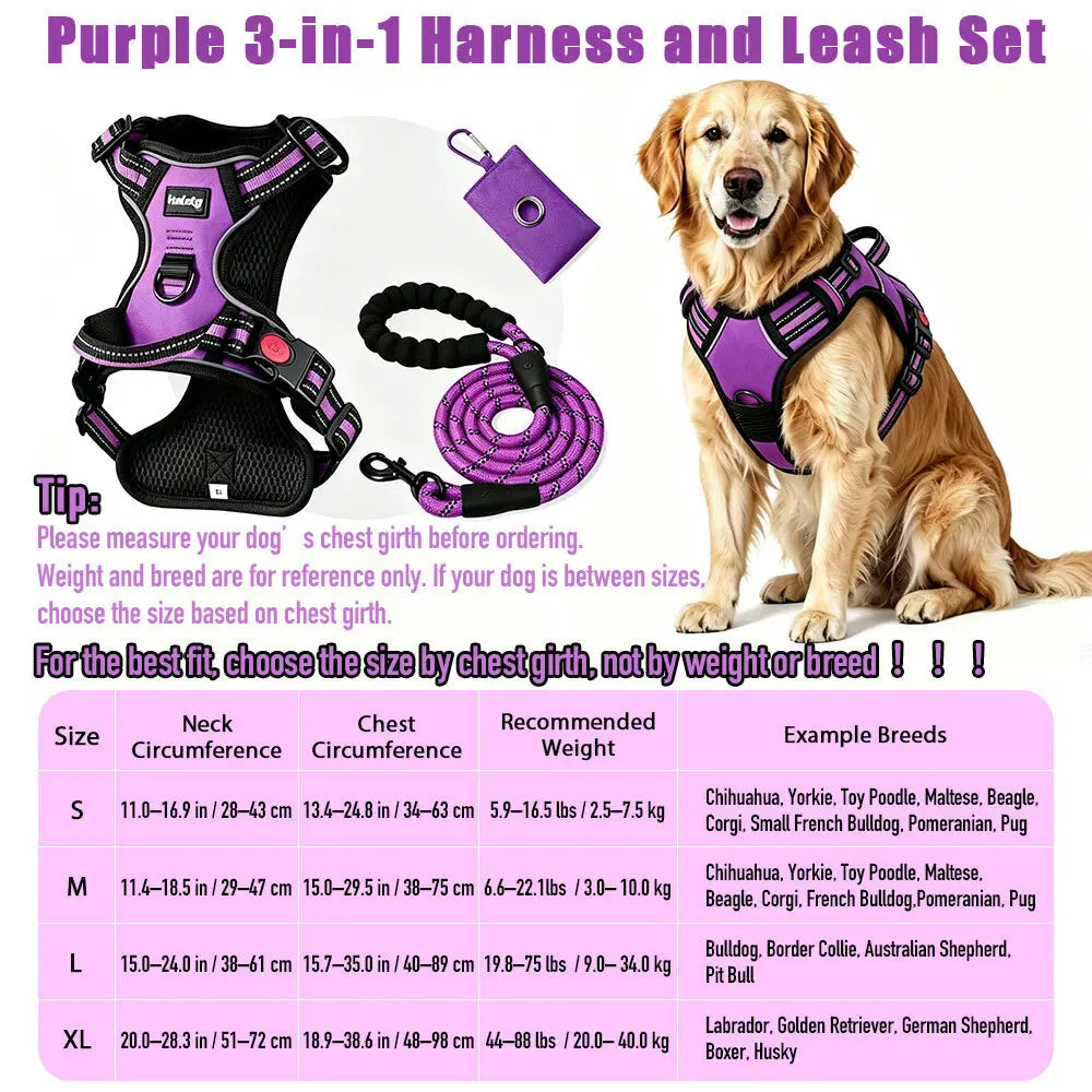 HELETY Purple 3-In-1 No-Pull Dog Vest Harness & Leash Set, Adjustable S-XL Sizes, Dual Front & Back D-Ring Clips, 360° 3M Reflective, Padded Chest, Oxford Fabric, Night Safety, Built-In Poop Bag Holder, Tangle-Free Cooling Step-Design Strap Running Bungee