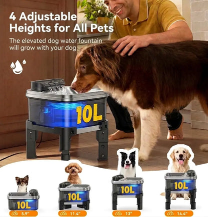 Height Adjustable Pet Water Fountain, 10L Large Capacity Elevated Dog Water Bowl with Filter, 4-Level Adjustable Stainless Steel Water Dispenser for Cats and Dogs, Ultra-Quiet Pet Fountain, No Spill Design
