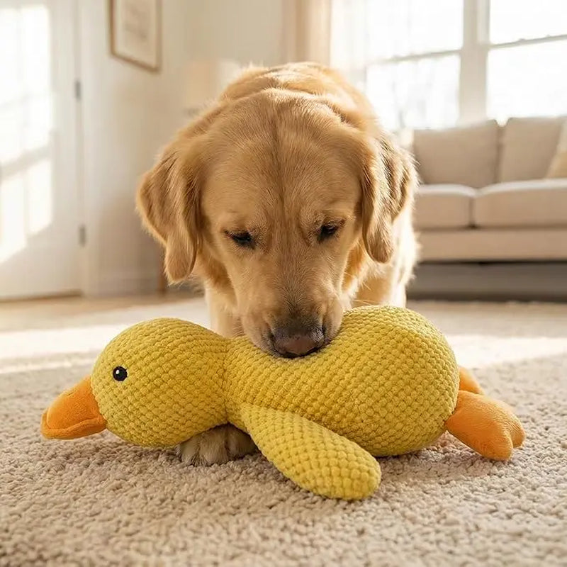 Squeaky Duck Plush Dog Toy - Ultra-Soft Corduroy Chew Toy with Built-In Sound, Interactive Durable Safe Plaything for Dogs & Puppies