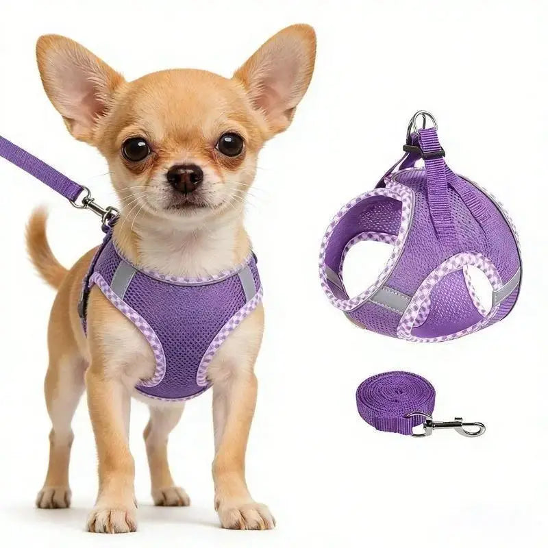2Pcs Dog Harness and Leash Set, Adjustable No Pull Dog Chest Strap, Outdoor Walking Pet Supplies for Small Medium Large Dogs Reflective Step-In Dog Harness & Leash Set, Soft Mesh No Pull Puppy Vest Harness, Adjustable Lightweight Walking Gear